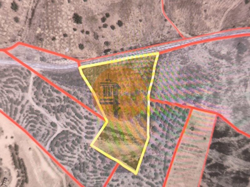 Property photo 2 of 21