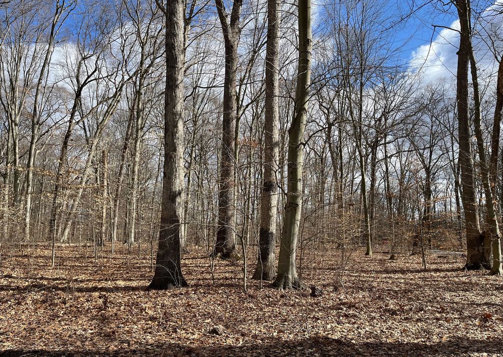 Property photo 2 of 8 <Alttext/>