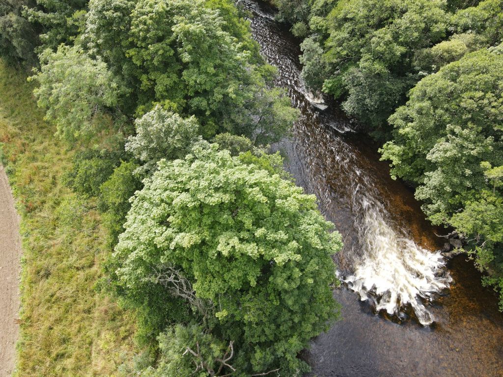 Property photo 2 of 9 Picture No. 03