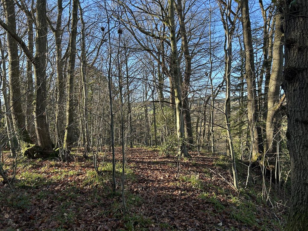 Property photo 2 of 23 2Bce7E75-F1C3-4943-Bef4-6421Cba6D389.Jpeg