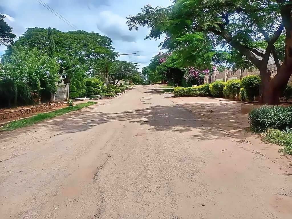 Property photo 3 of 17 Dusty Residential Street Lined With Green Trees And Hedges On A Sunny Day.