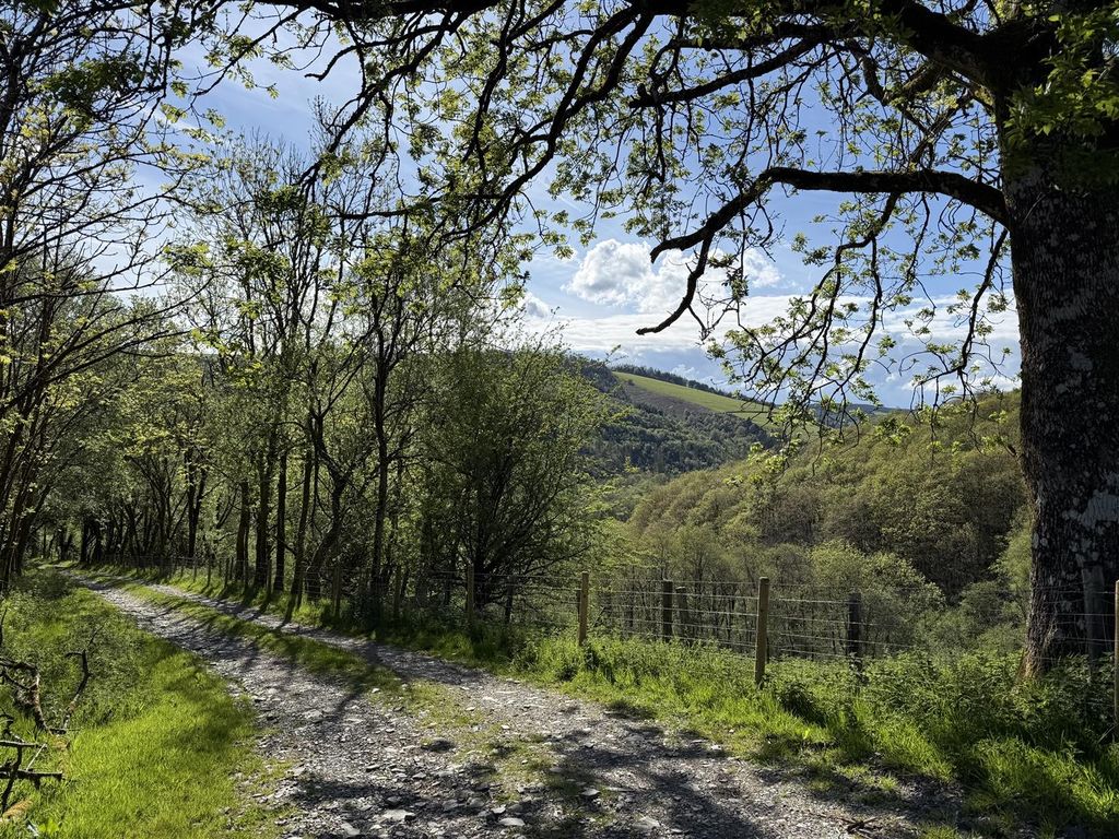 Additional image 7 of 3 bed farm for saleLlansawel, Llandeilo SA19