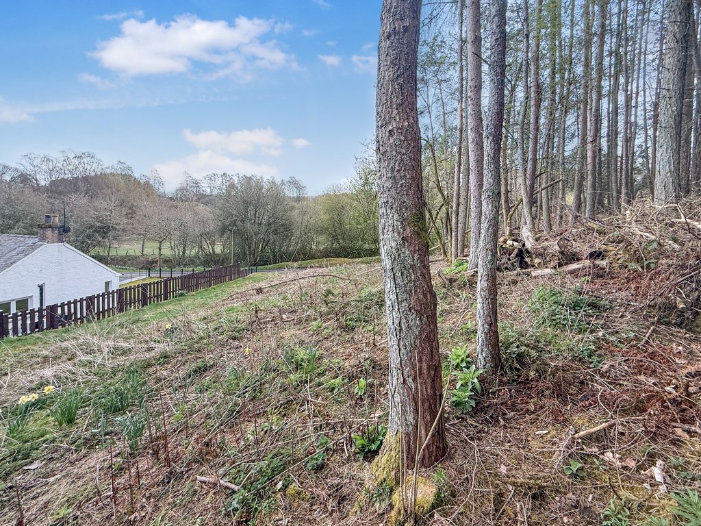 Property photo 2 of 14 82219_20250415112609