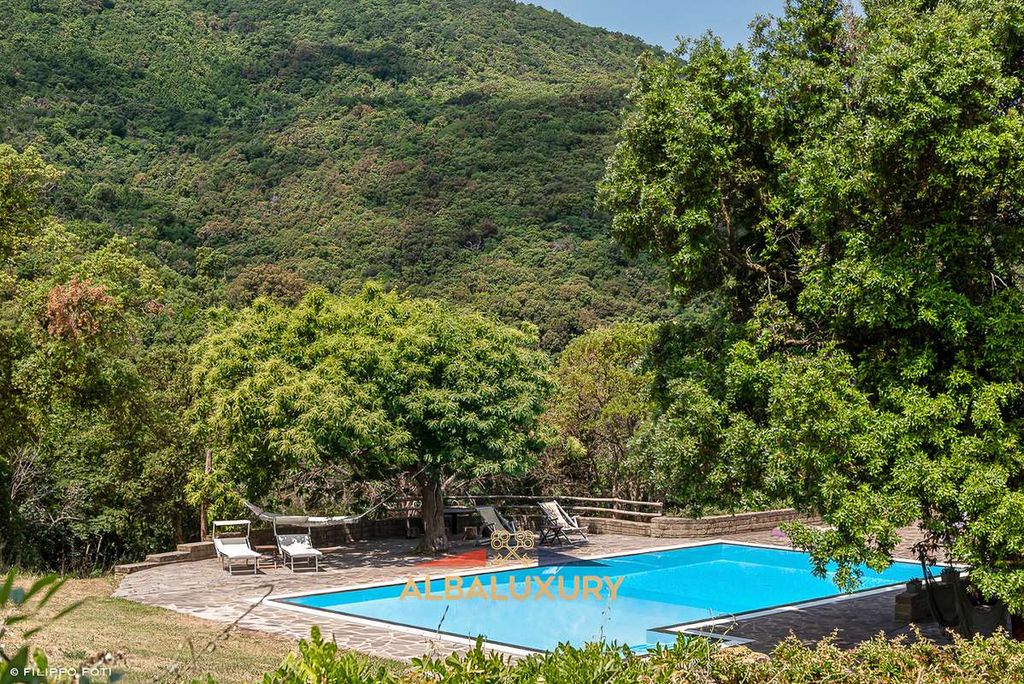 Property photo 3 of 42