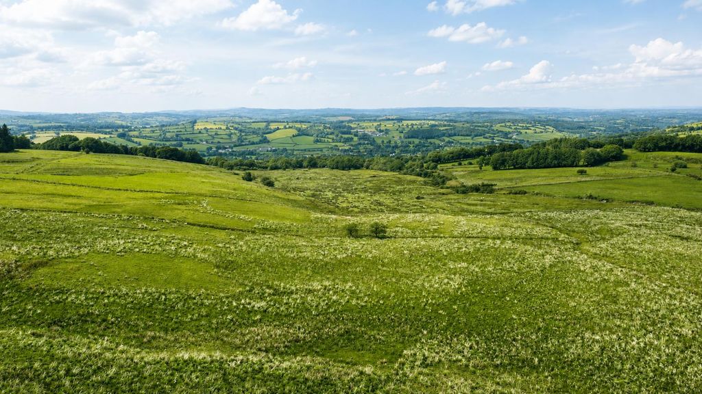 Property photo 3 of 6 Location