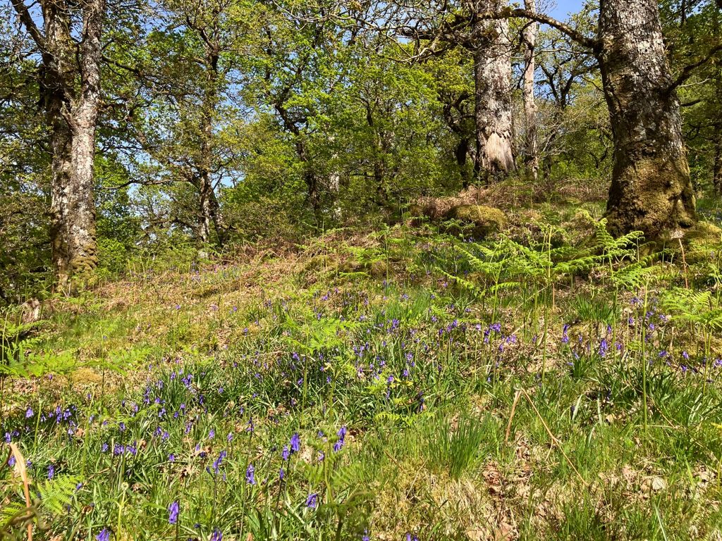 Property photo 2 of 13 Picture No. 07