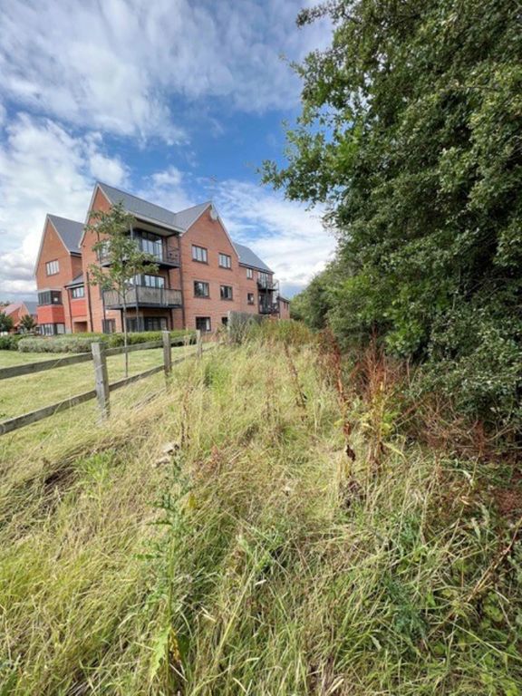 Property photo 2 of 6 Showing An Area Of The Thin Parcel Of Land In A Residential Area