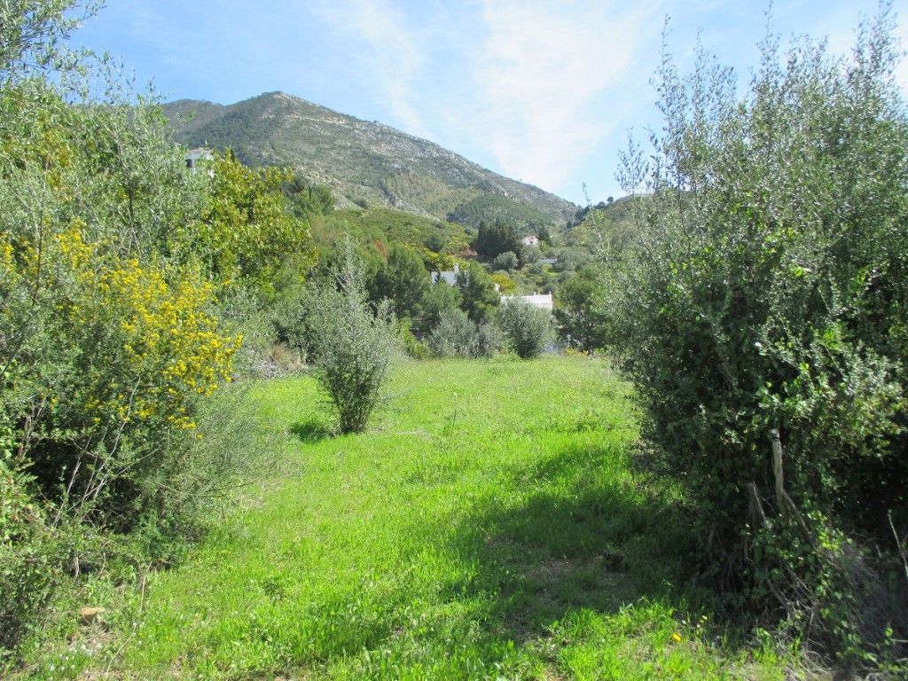 Property photo 2 of 4 Plot-1