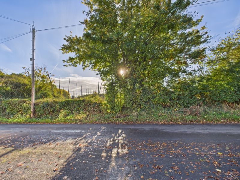 Property photo 3 of 16 View To Front