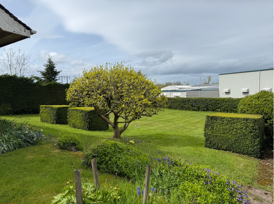 Property photo 3 of 15