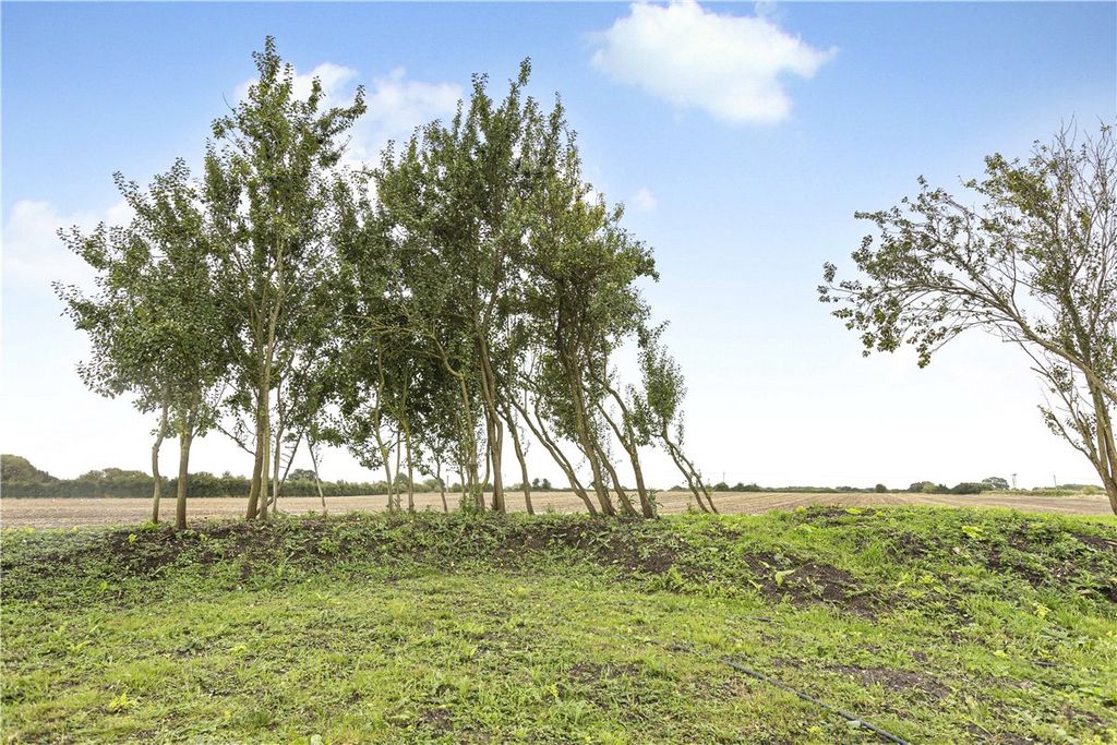 Property photo 2 of 20 Picture No. 32