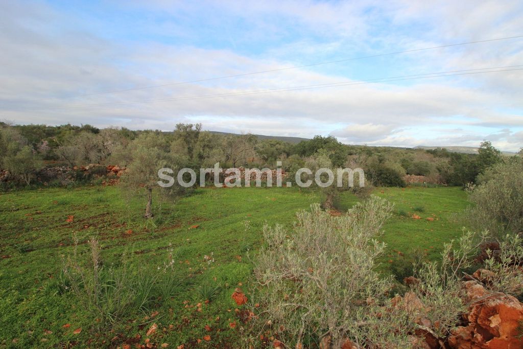 Property photo 3 of 4