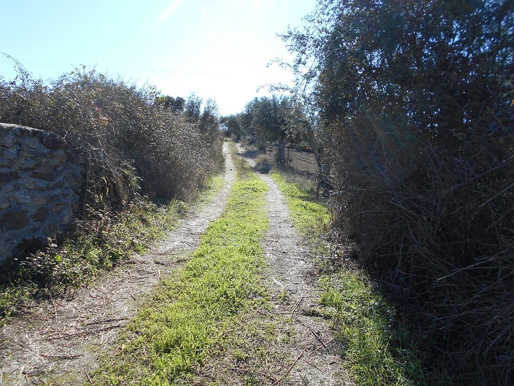 Property photo 2 of 7