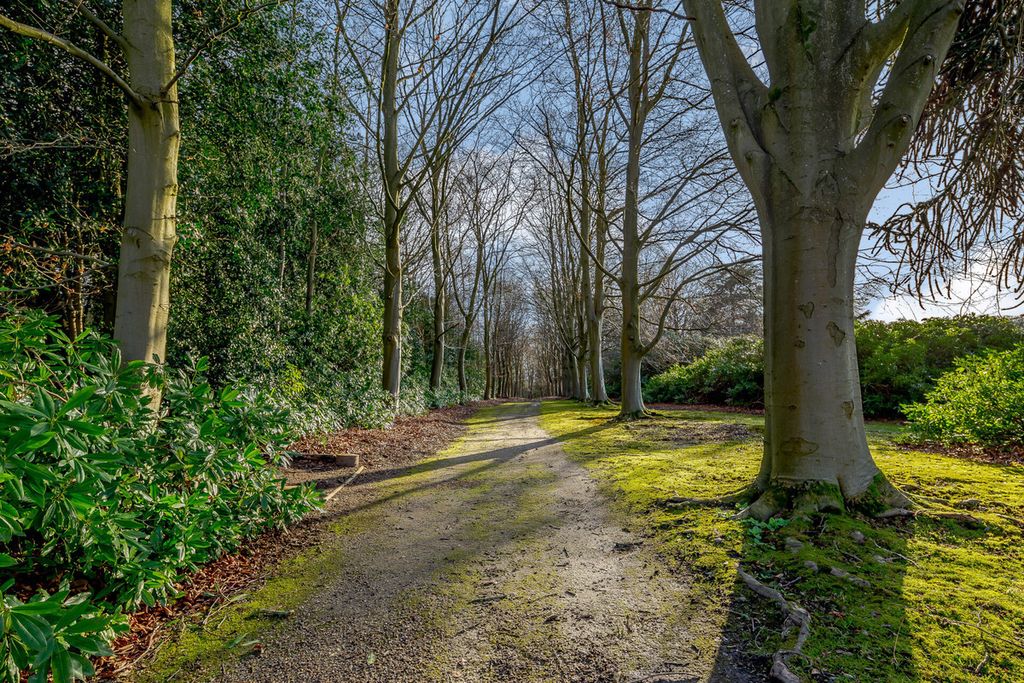 Property photo 2 of 32