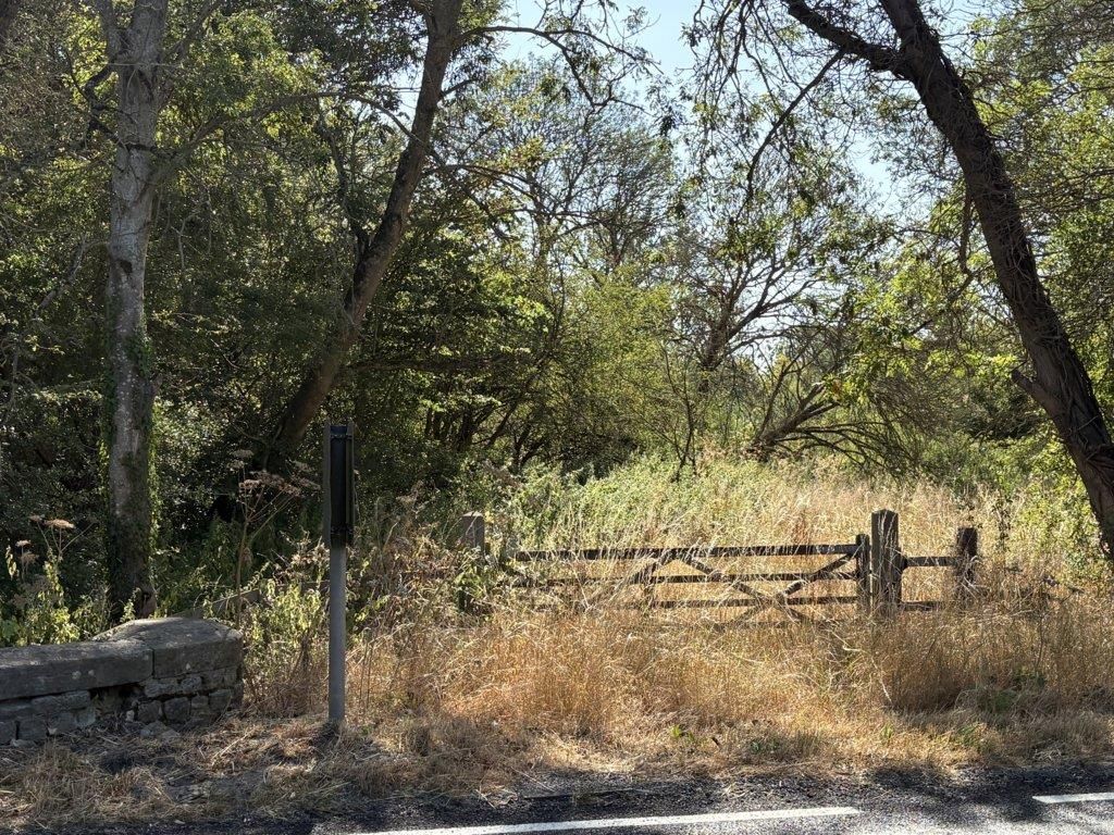 Property photo 1 of 12 Img_3101 (Fileminimizer).Jpg
