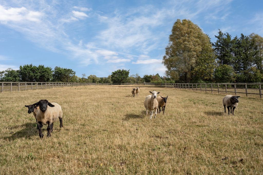 Property photo 3 of 18 Paddock