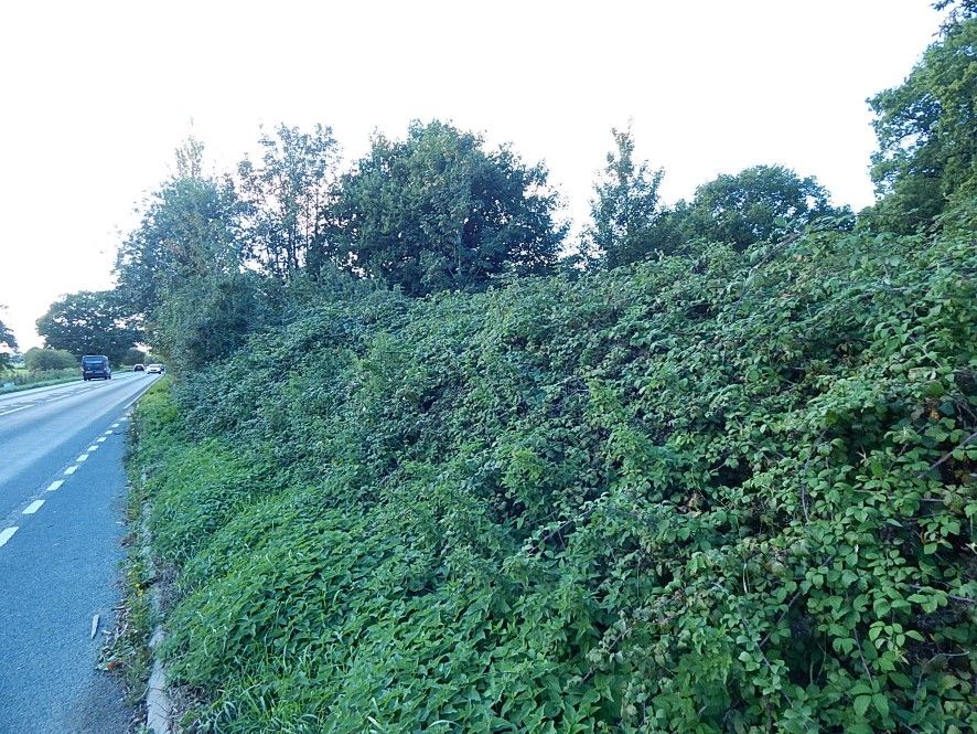 Property photo 2 of 6