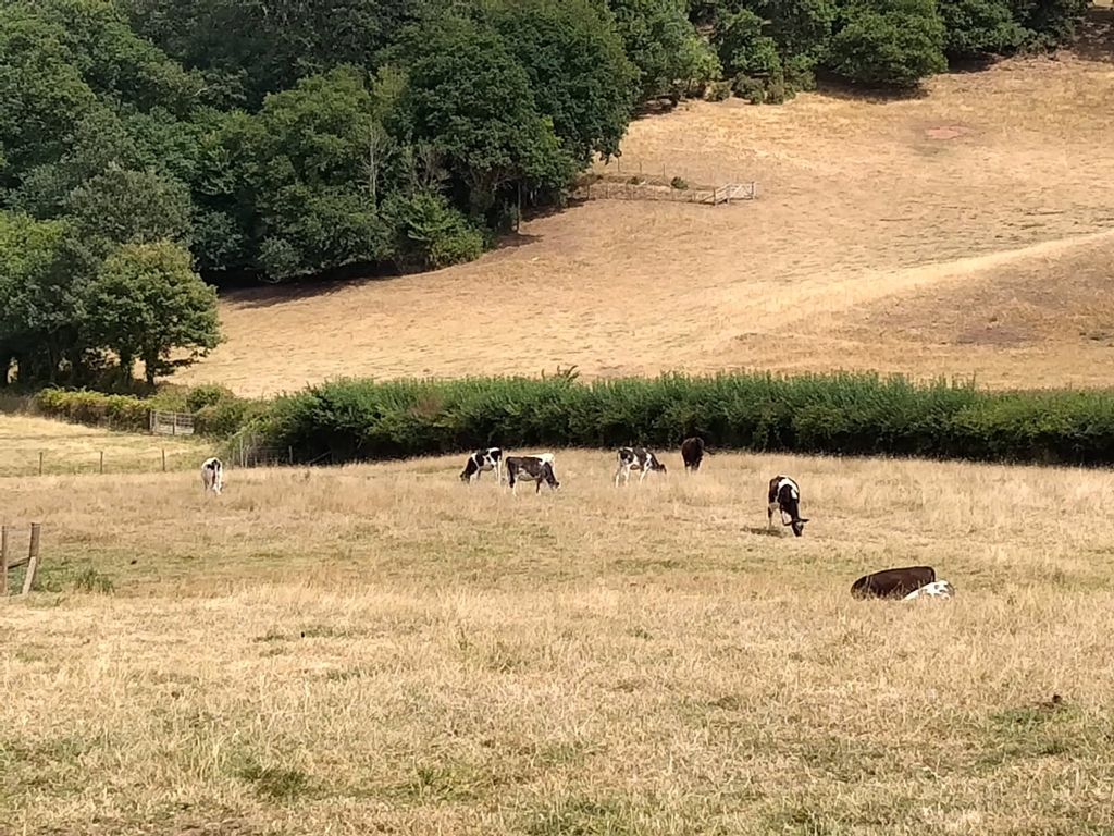 Property photo 3 of 17 Picture No. 20