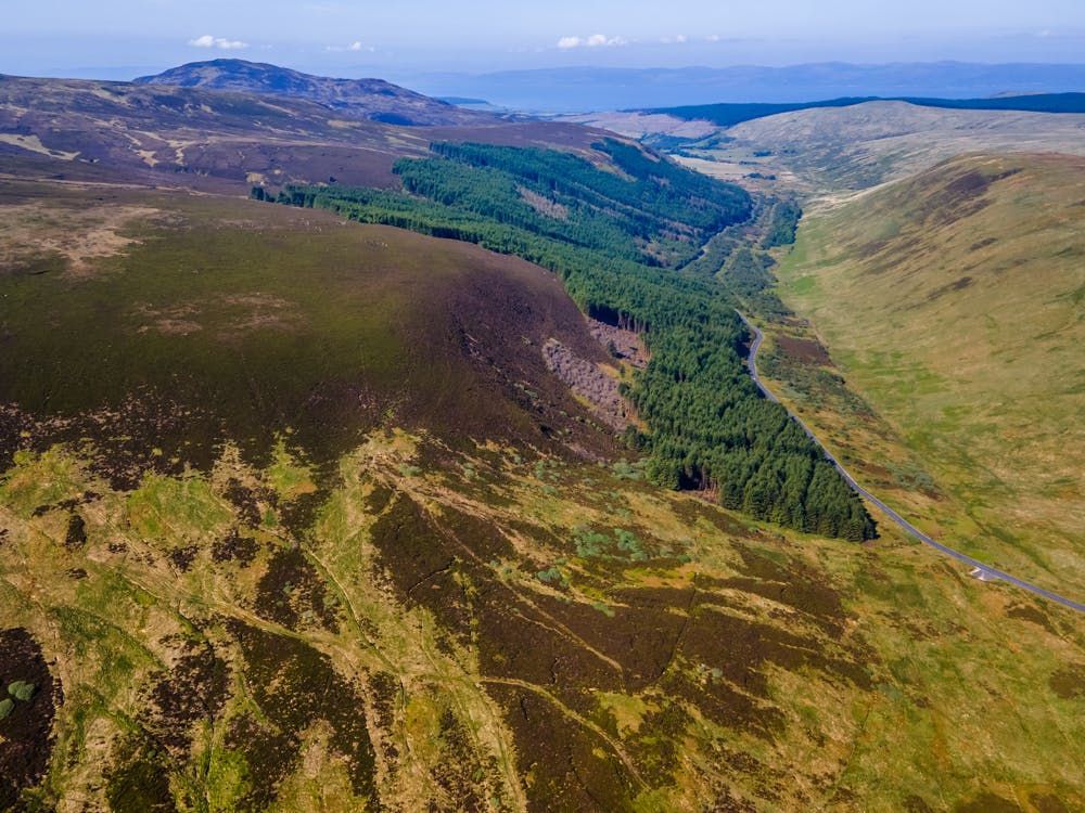 Property photo 1 of 12 Image 5