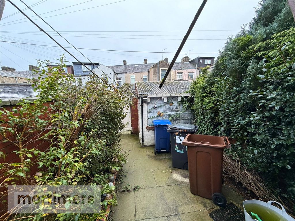 Property photo 3 of 13 Rear Yard