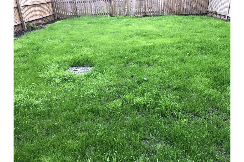 Property photo 3 of 7 Large Garden