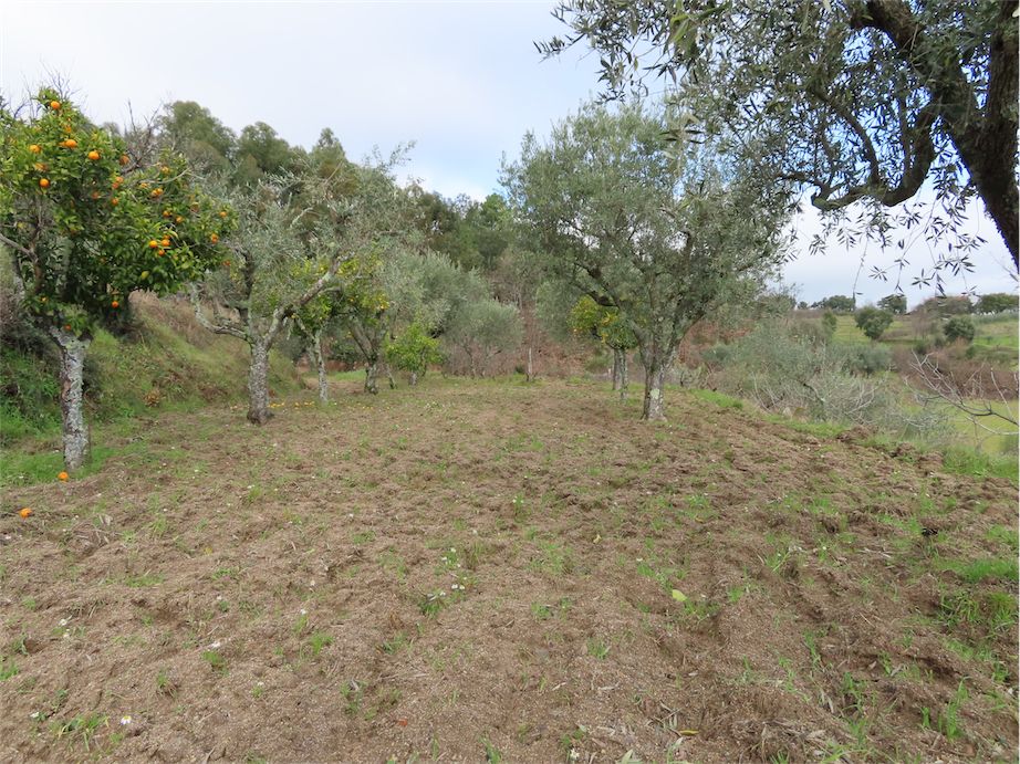 Property photo 2 of 39