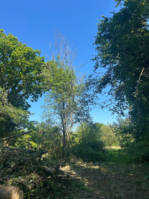 Property photo 3 of 4