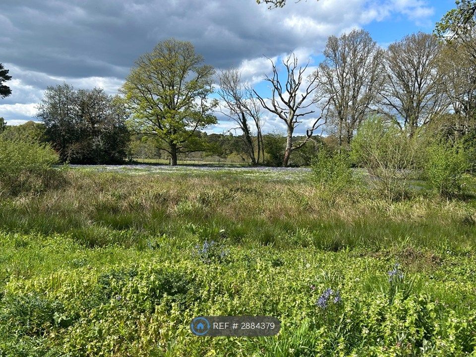 Property photo 3 of 14 Land Beyond Pandora's Garden (Not Included)