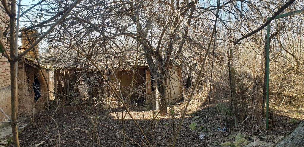 Property photo 3 of 34 View Of An Overgrown Garden Area With Leafless Trees And An Old Outbuilding With A Tiled Roof In The Background.