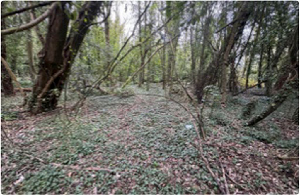 Property photo 1 of 3 Photo 1