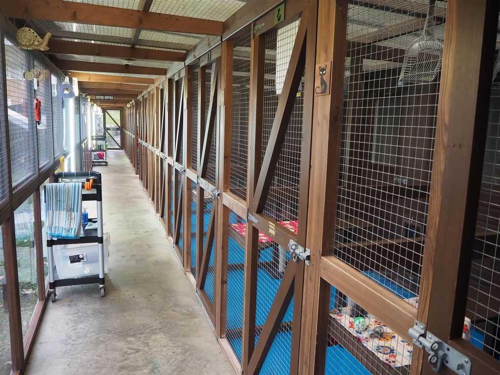 Property photo 1 of 15 Photo 0