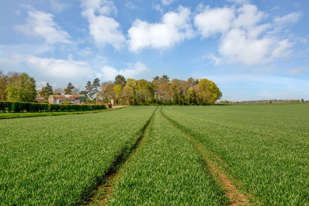 Property photo 3 of 15 Land