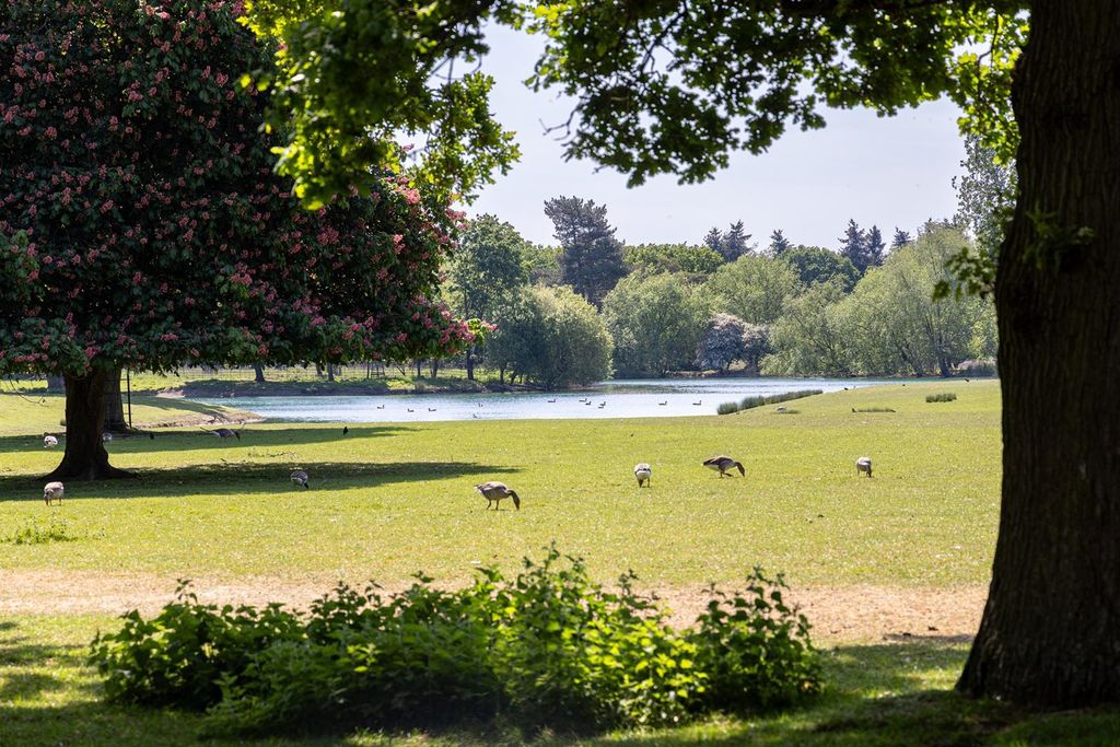 Property photo 3 of 10 Cre_1946 Edit For Web.Jpg