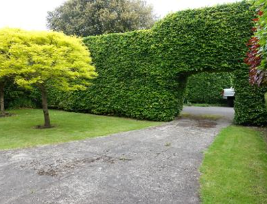 Property photo 3 of 5