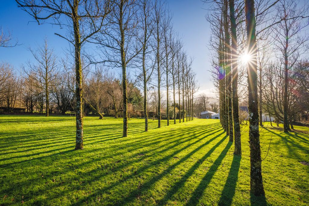 Property photo 2 of 50 Avenue Of Poplars