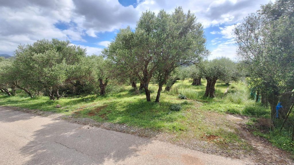 Property photo 2 of 15
