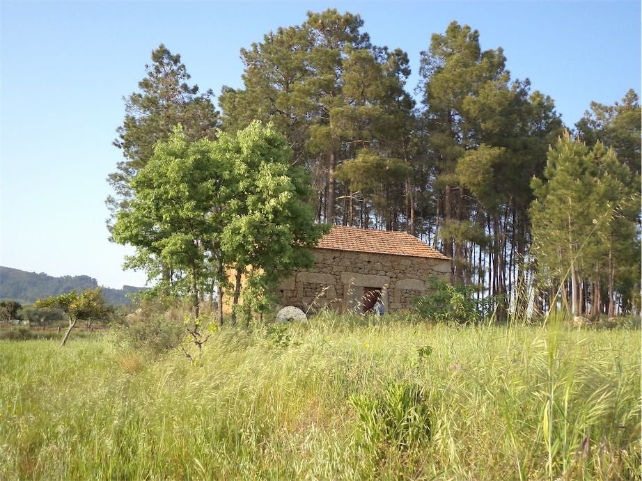 Property photo 3 of 47