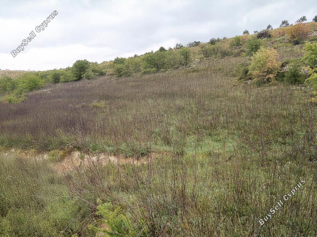 Property photo 1 of 4