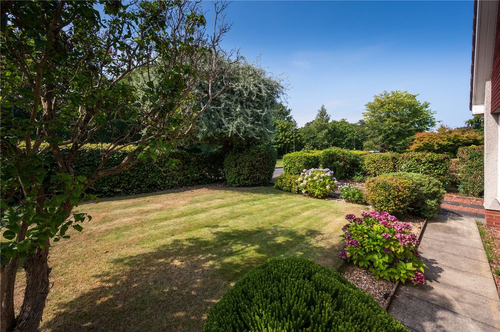 Property photo 3 of 20 Garden