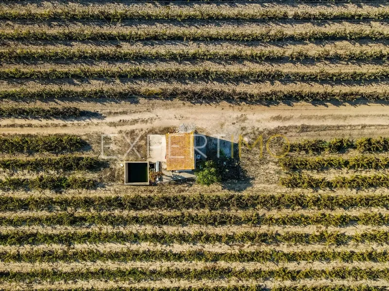 Property photo 2 of 11 Img 1