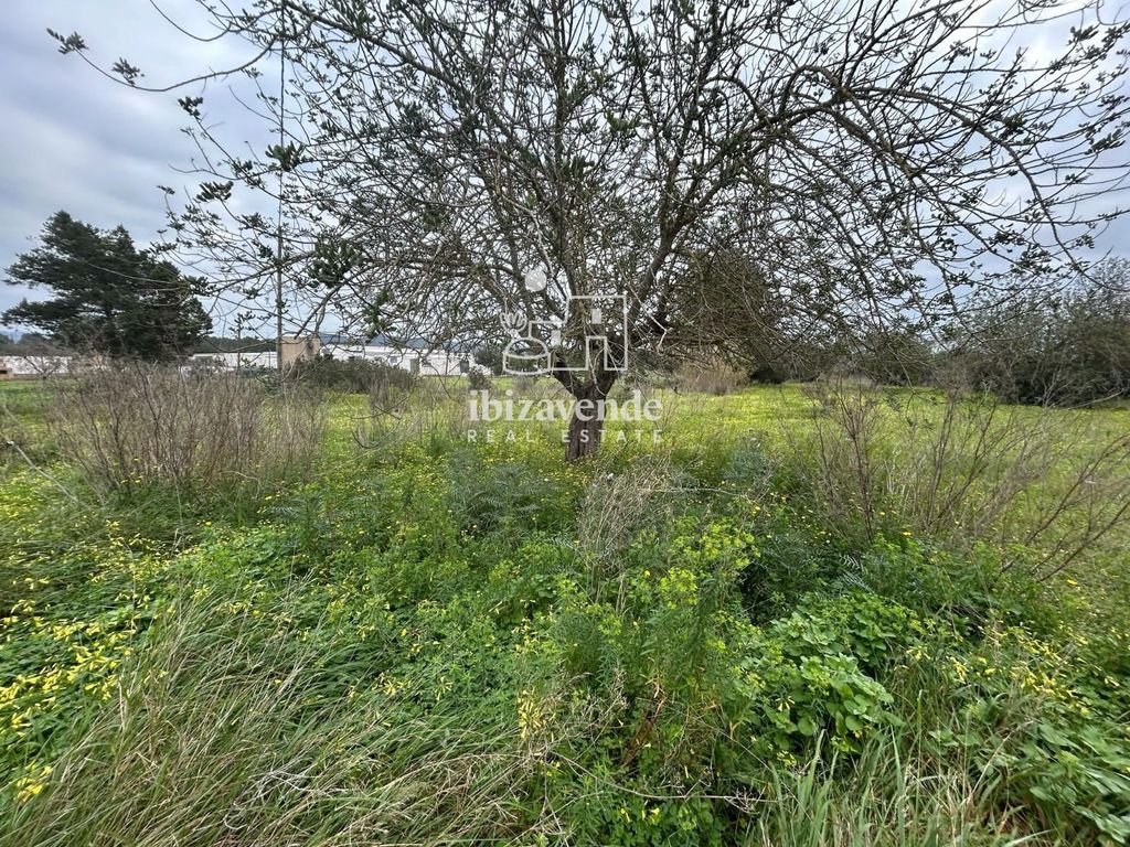 Property photo 1 of 3 Fantastic Plot In The Direction Of San Lorenzo