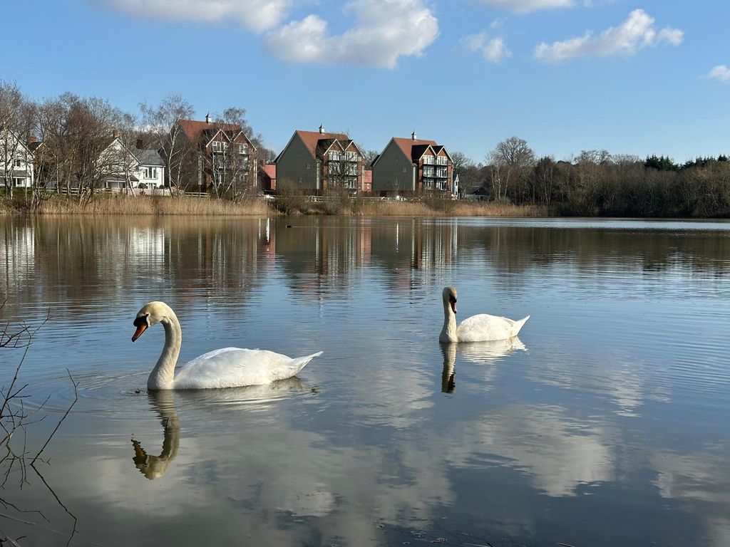 Property photo 1 of 19 Img_0102