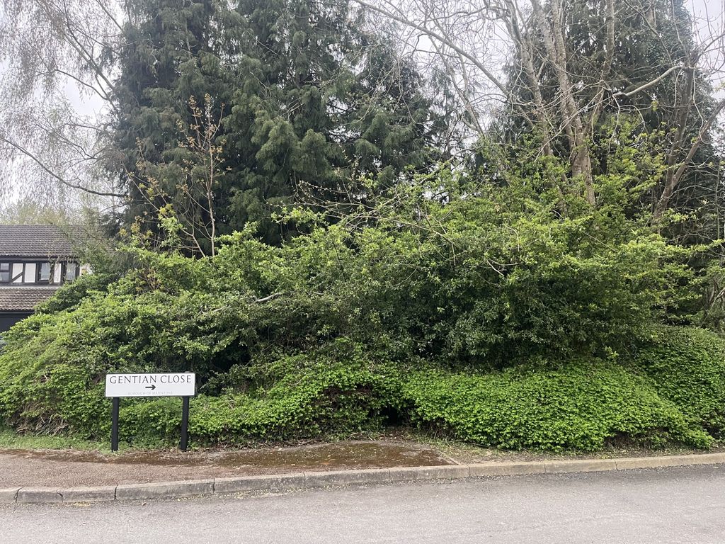 Property photo 3 of 20 8058Bf5E-20c7-4B6B-858E-448A544c969c