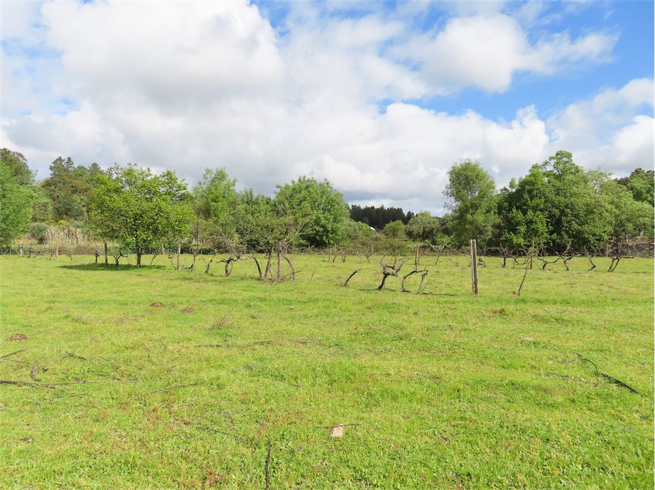 Property photo 3 of 40