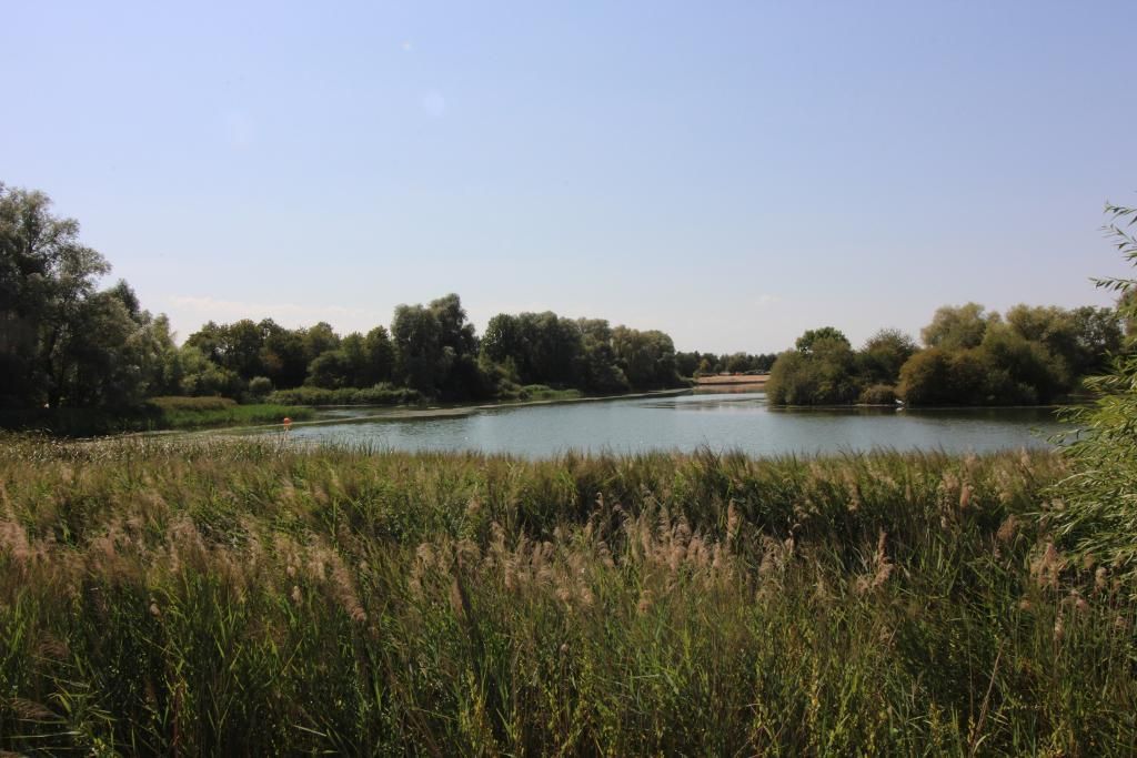 Property photo 2 of 17 Lake
