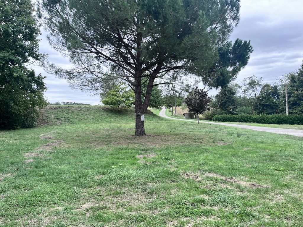 Property photo 3 of 21