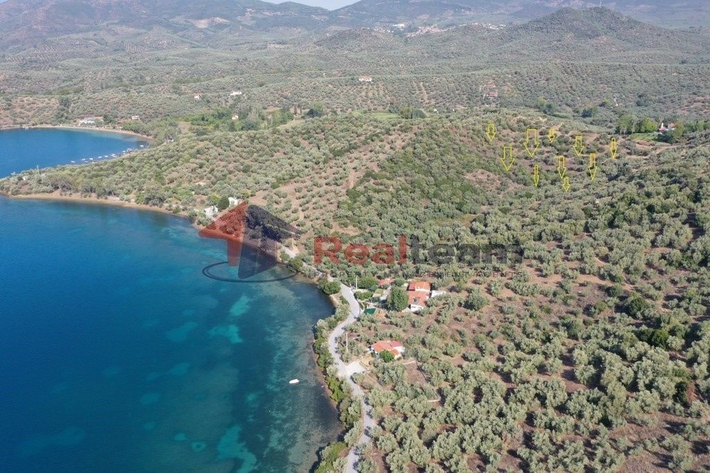 Property photo 1 of 25