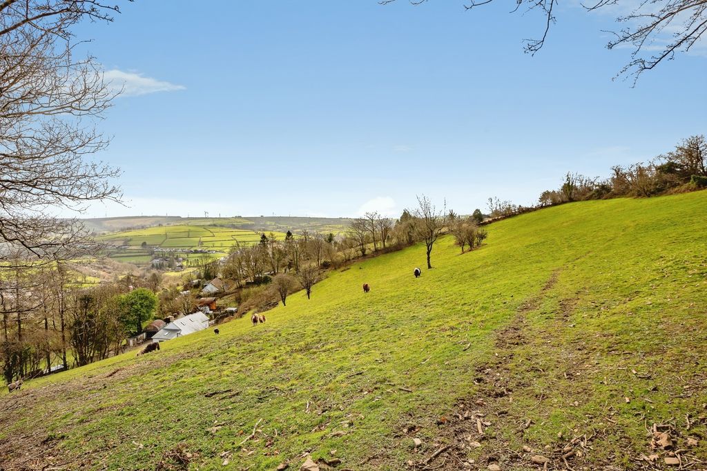 Additional image 35 of 3 bed cottage for salePencader, Carmarthenshire SA39