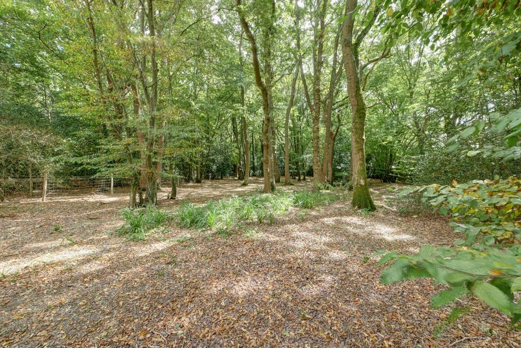 Property photo 3 of 43