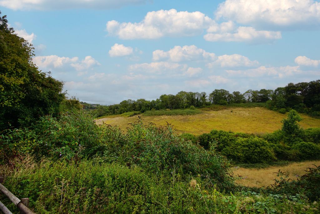 Property photo 3 of 22